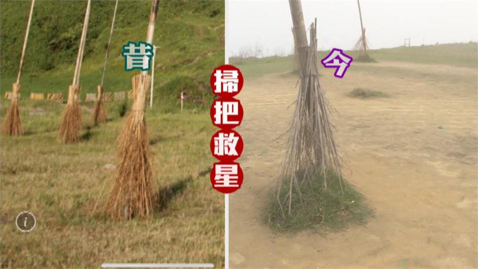 打卡勝地「掃把救星」變枯枝 海科館：盡力修復