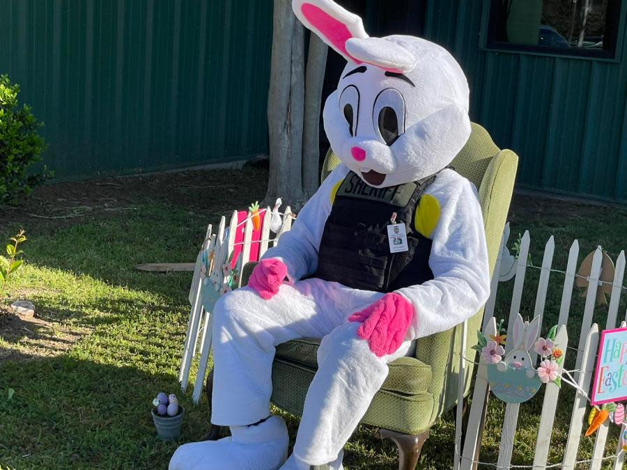 The Easter Bunny in a sheriff's office vest sitting for photos.