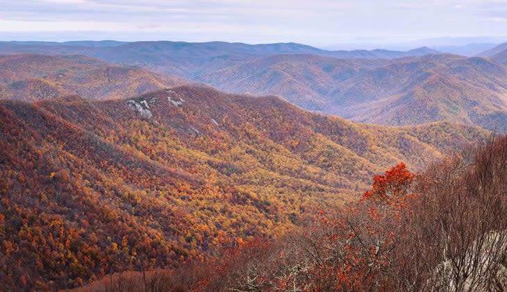 <span class="article__caption">Autumn lights up the Priest Wilderness in the George Washington and Jefferson National Forests.</span> (Photo: Joshua G. McDonough/Getty)