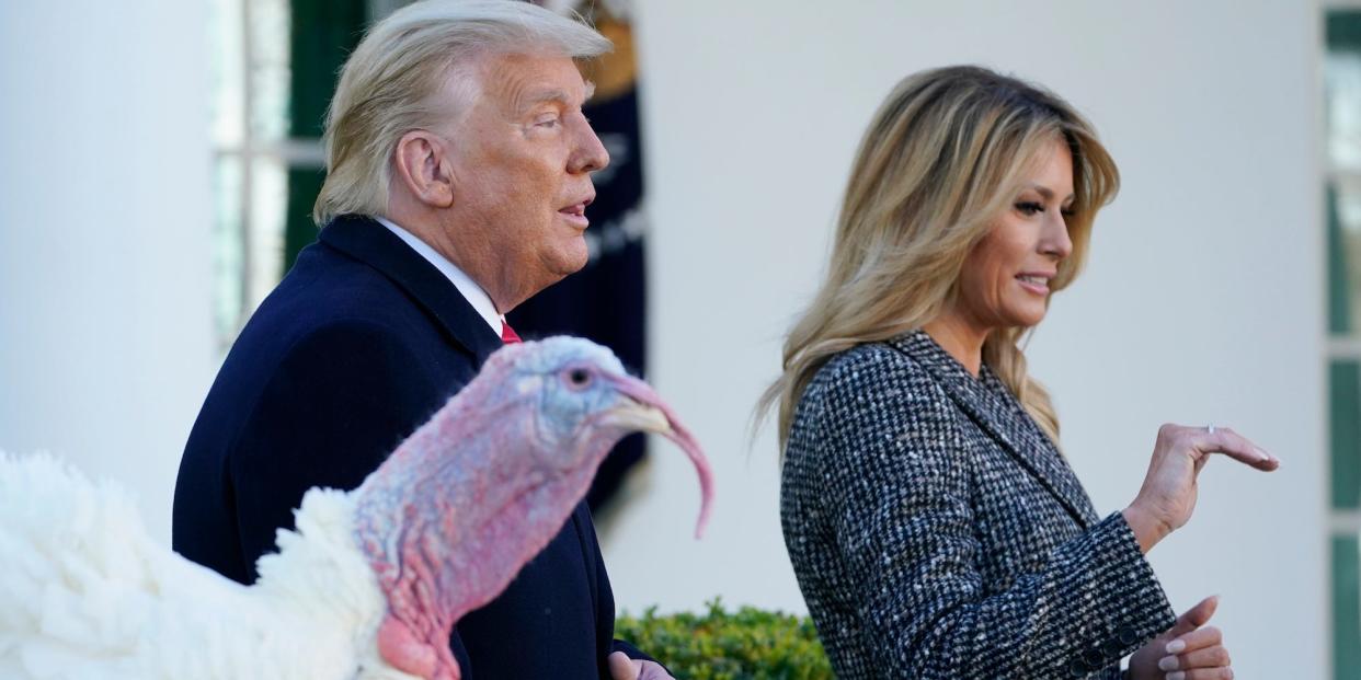 Trump turkey