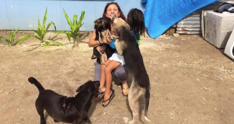 Angela Glover formed the Tongan Animal Welfare Society (TAWS) to help stray dogs. Source: Supplied/Angela Glover