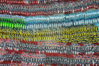 <p>Confiscated sharing bicycles of different brands are seen at a parking lot of Huangpu District Vehicle Management Company in Shanghai, China, March 1, 2017. (Reuters) </p>