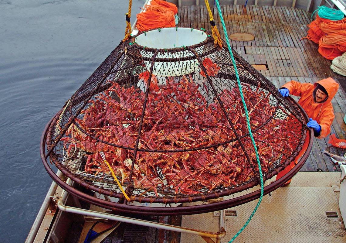 A crab pot full of red king crabs on the deck of fishing vessel off of Juneau, Alaska. (AP Photo/Klas Stolpe, File)