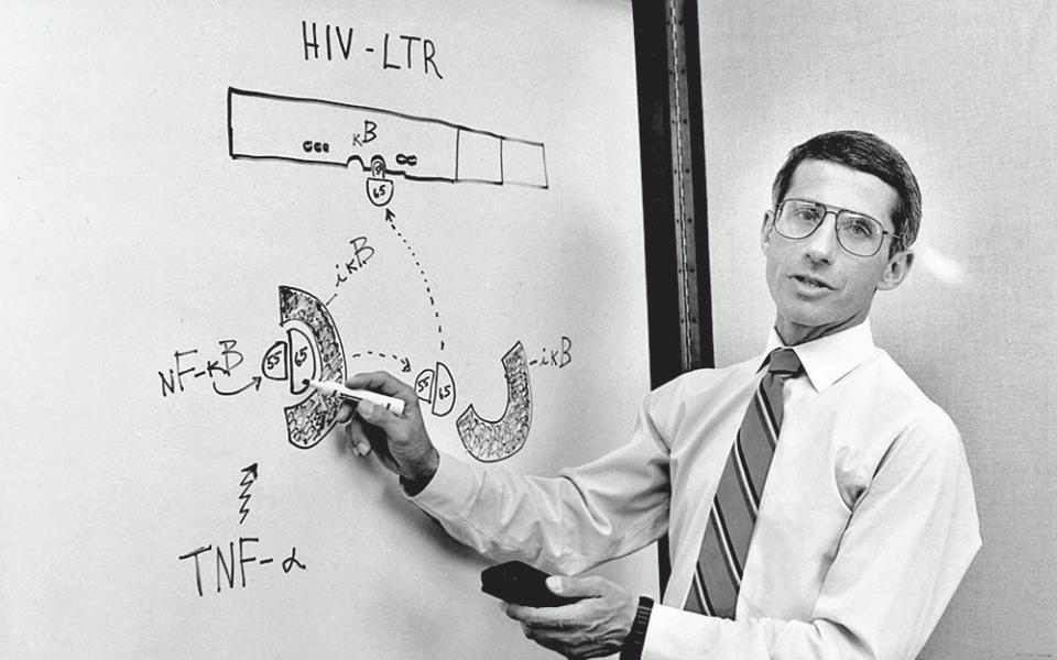  1950; research into Aids, 1990 -  George Tames/Eyevine