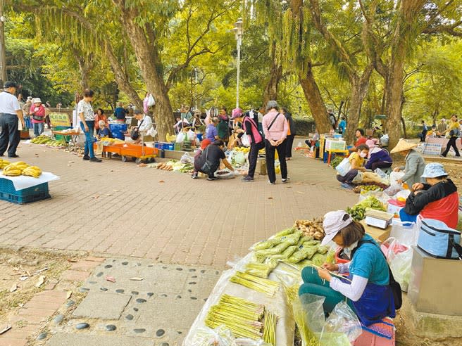 嘉義公園長期有攤販擺攤，吸引民眾及遊客購物。（廖素慧攝）