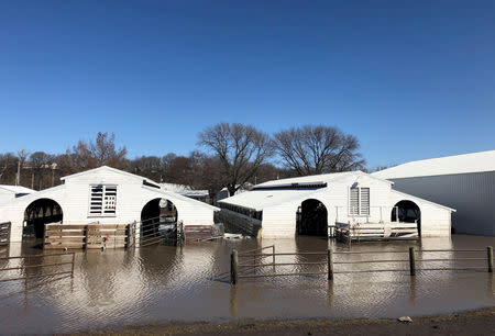 FILE PHOTO: Paddocks at Washington County Fairgrounds are shown underwater due to flooding in Arlington, Nebraska, U.S., March 21, 2019. REUTERS/Humeyra Pamuk -File Photo