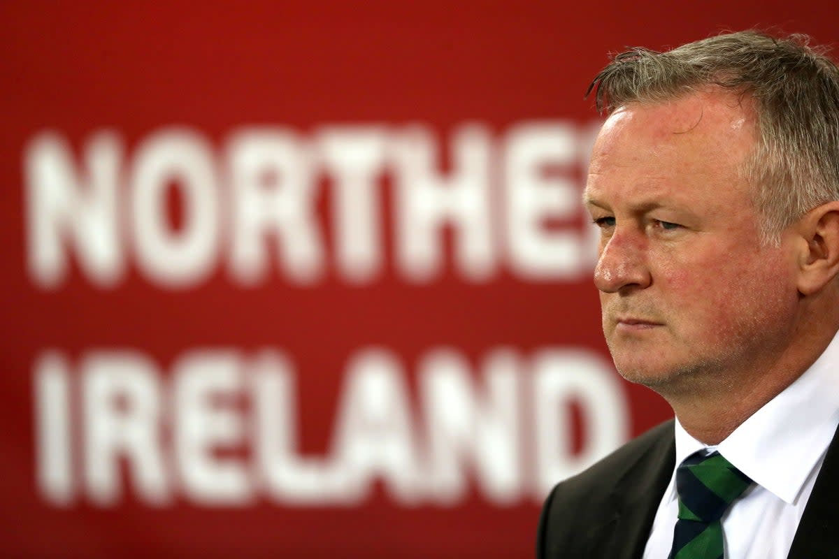 Michael O’Neill revitalised Northern Ireland during his first stint in charge (Niall Carson/PA) (PA Archive)