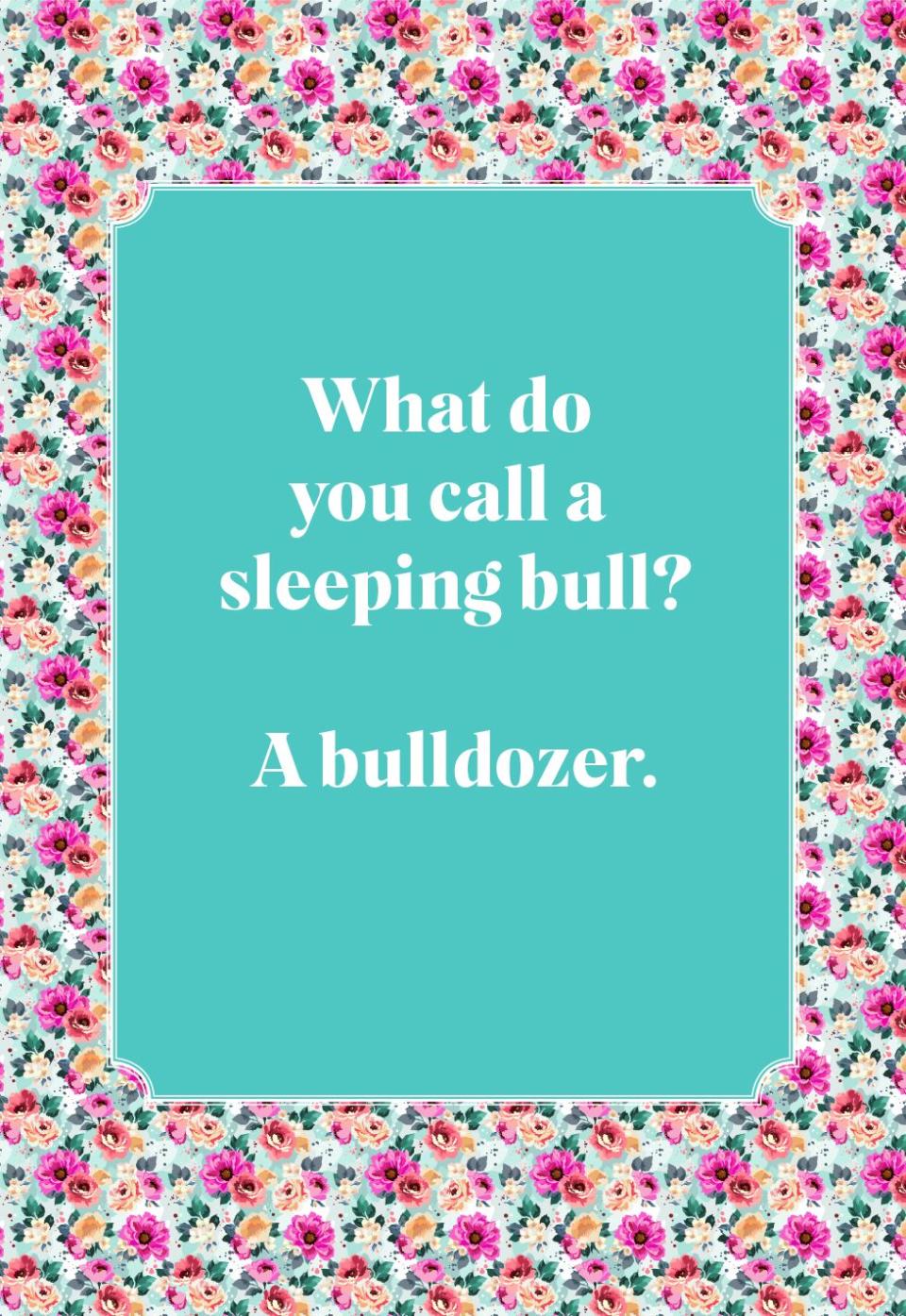 What do you call a sleeping bull?