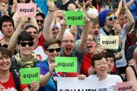 Supporters of same-sex marriage gather at Dublin Castle on May 23, 2015 in Dublin