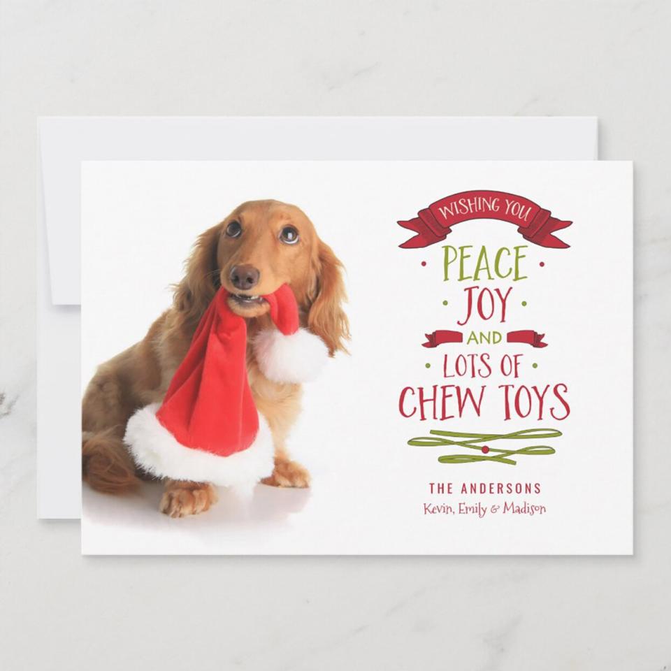 Product photo of a Peace Joy & Chew Toys Holiday Pet Dog Photo Card