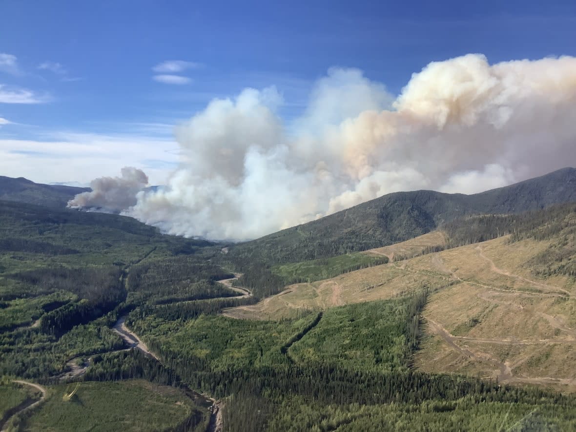 The B.C. Wildfire Service says the Battleship Mountain Wildfire is exhibiting 'aggressive' behaviour and expected to continue to grow over the coming days.  (Submitted by B.C. Wildfire Service - image credit)