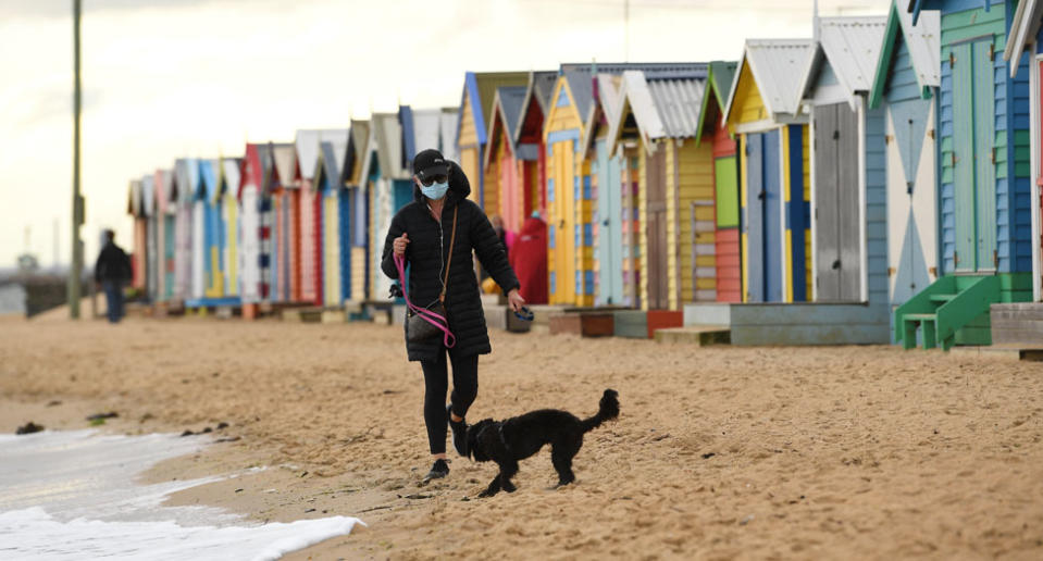 A person wearing a face mask is seen walking their dog along Brighton beach in Melbourne. Source: AAP/James Ross