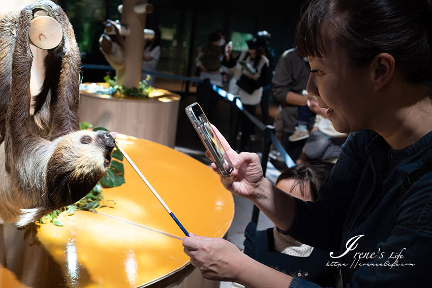 日本沖繩｜DMM Kariyushi水族館