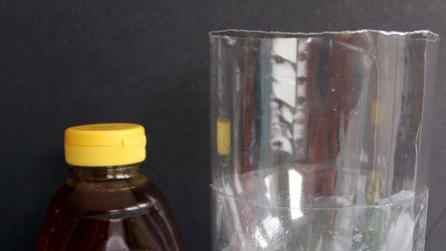 How to Make a Fly Trap From an Empty Soda Bottle