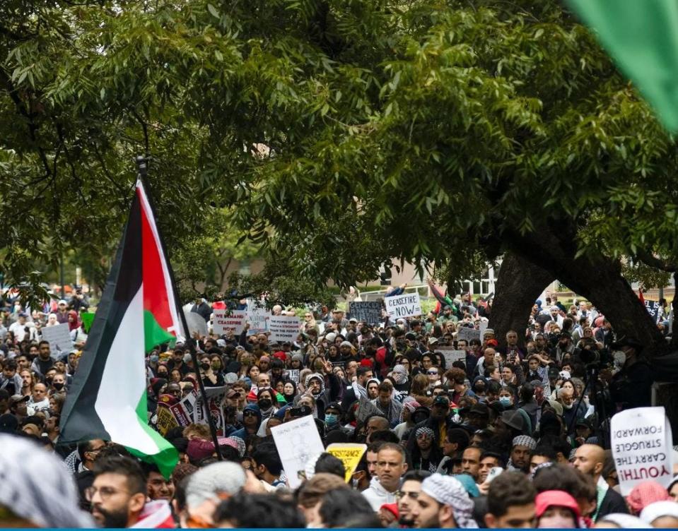 On Nov. 11, thousands of pro-Palestinian demonstrators gathered on the grounds of the state capitol in Austin, Texas, to protest the Israel-Gaza war.
