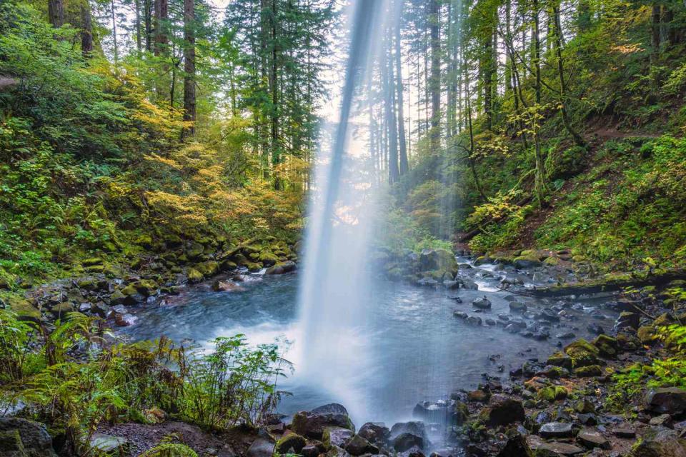 <p>Greg Vaughn /VW PICS/Universal Images Group via Getty</p> View from trail behind Ponytail Falls (a.k.a. Upper Horsetail Falls)