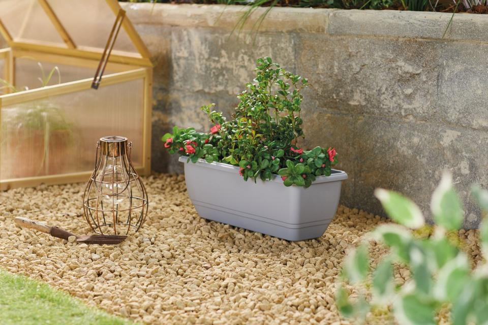 aldi launches garden range in time for spring