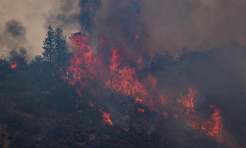 fire burning in a forest with black smoke swirling around