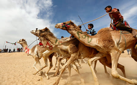 Jockeys, most of whom are children, compete on their mounts during the 18th International Camel Racing festival at the Sarabium desert in Ismailia, Egypt, March 12, 2019. REUTERS/Amr Abdallah Dalsh