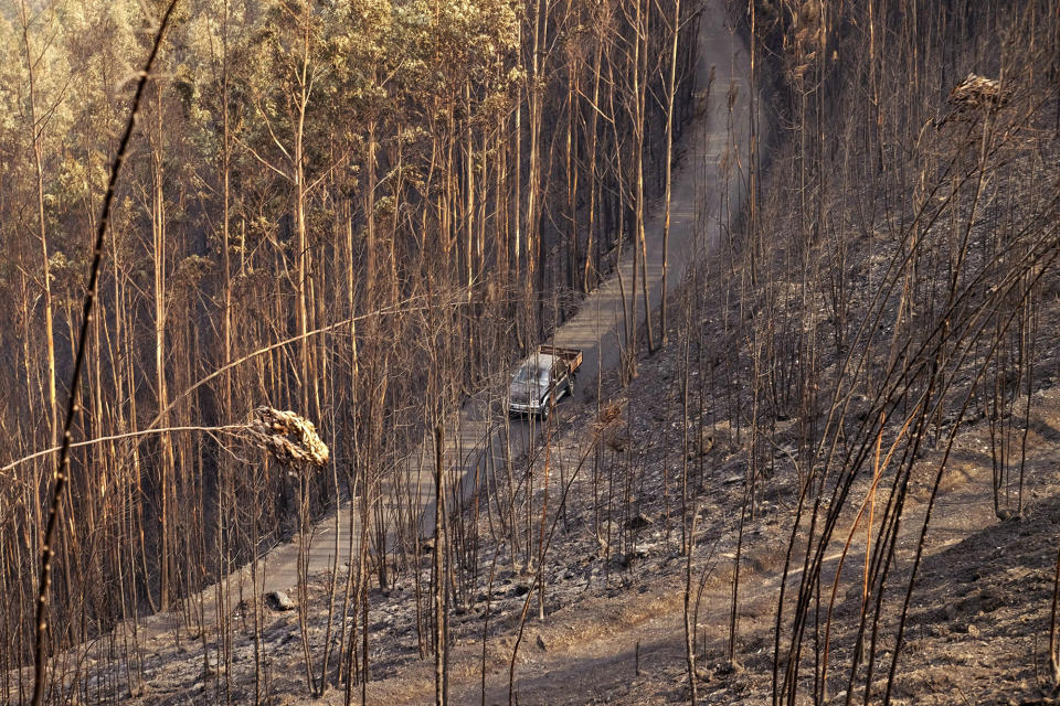 Wildfires ravage Portugal