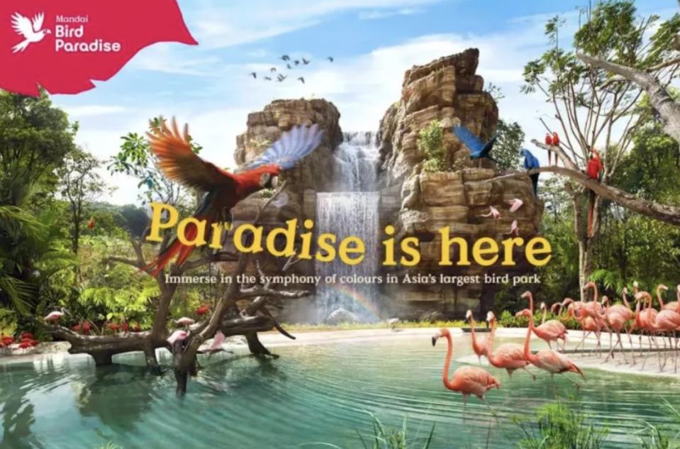 新加坡旅遊｜亞洲最大雀鳥公園！8大鳥禽展區＋企鵝館：近距離觀賞3,500隻鳥／餵食體驗／2大鳥類表演