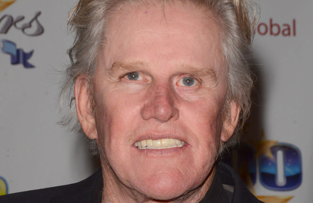 Gary Busey was allegedly inappropriate with several women before he was charged with four counts of sex crimes and harassment credit:Bang Showbiz