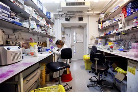 A scientist separates proteins by gel electrophoresis in a lab at the Institute of Cancer Research in Sutton, July 15, 2013. REUTERS/Stefan Wermuth