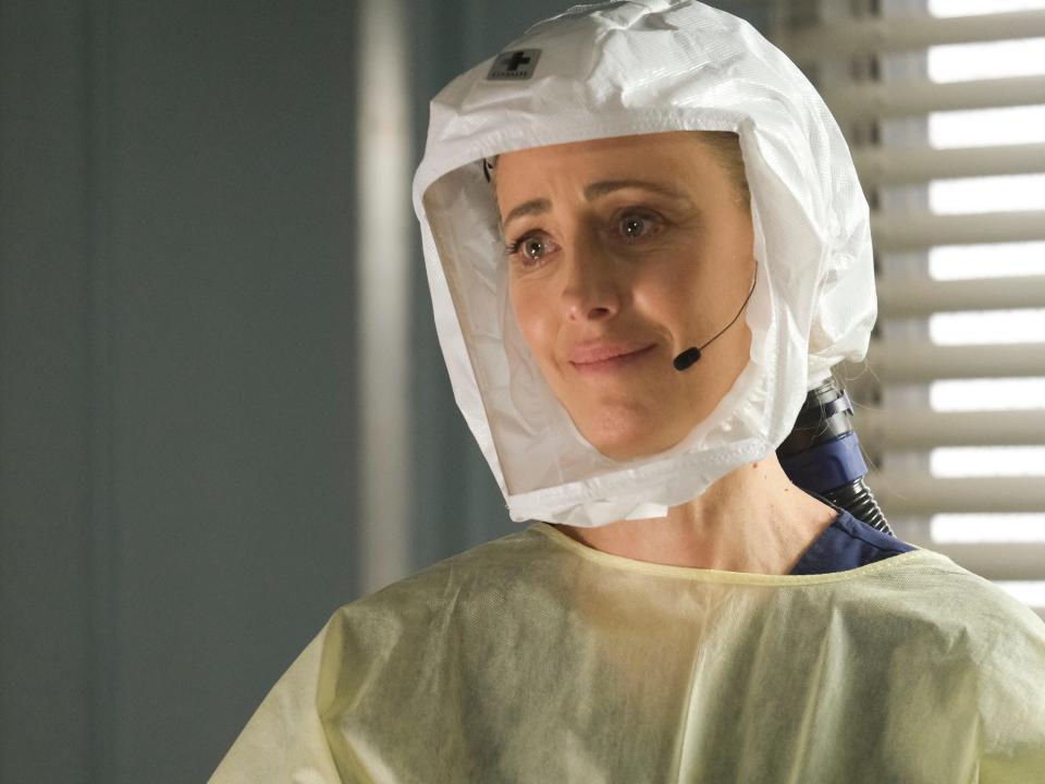 Teddy Altman. season 17 greys anatomy