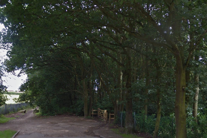 Wickersley Woods was cordoned off by police