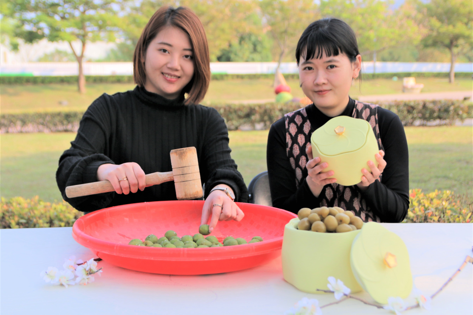 「甕藏春梅」體驗醃脆梅DIY樂趣，還能帶回限定款《花伴》梅甕