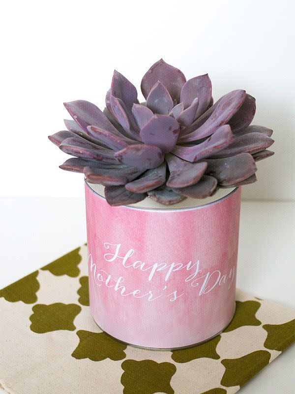 <p>Don't throw that tin away: Pretty it up with a watercolor label and an easy houseplant that doesn't need a lot of attention.<br></p><p><a class="link " href="https://www.amazon.com/Succulent-Plants-Fully-Rooted-Planter/dp/B079RKPQSP/ref=sr_1_2_sspa?keywords=succulent&qid=1553004966&s=gateway&sr=8-2-spons&psc=1&tag=syn-yahoo-20&ascsubtag=%5Bartid%7C10055.g.2412%5Bsrc%7Cyahoo-us" rel="nofollow noopener" target="_blank" data-ylk="slk:SHOP SUCCULENTS;elm:context_link;itc:0;sec:content-canvas">SHOP SUCCULENTS</a></p><p><em><a href="https://sarahhearts.com/mothers-day-planter/" rel="nofollow noopener" target="_blank" data-ylk="slk:Get the tutorial at Sarah Hearts »;elm:context_link;itc:0;sec:content-canvas" class="link ">Get the tutorial at Sarah Hearts »</a></em></p>