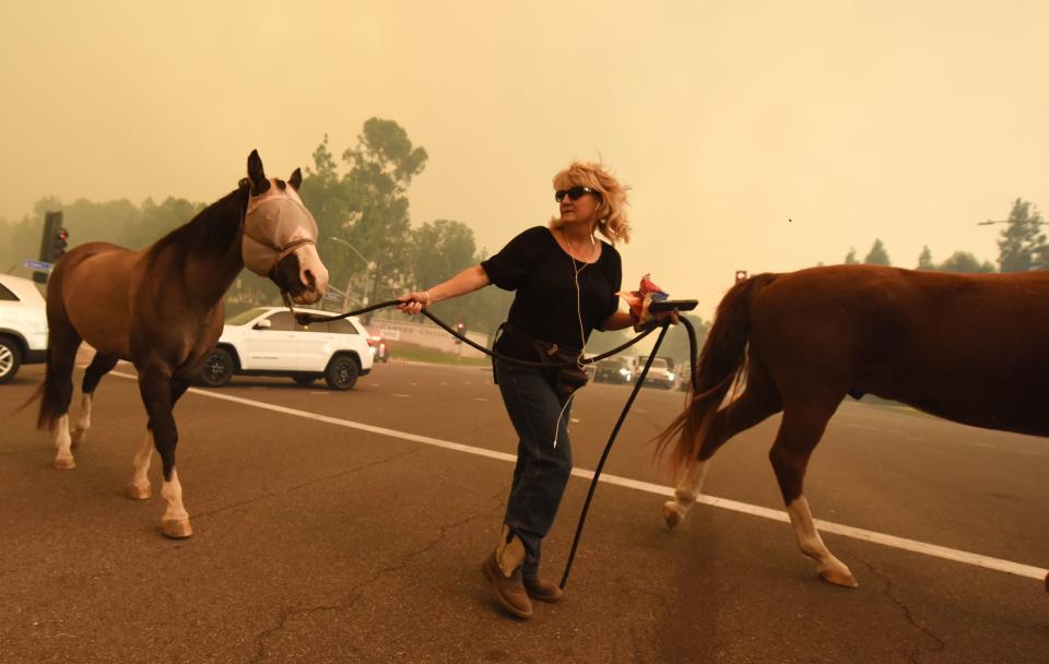 <p>A woman evacuates horses as strong Santa Ana winds blow fire and smoke from the Canyon 2 Fire toward them on Oct. 9, 2017 in Orange, Calif. (Photo: Robyn Beck/AFP/Getty Images) </p>