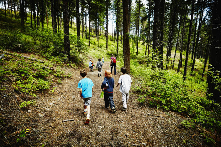 Group of young kids walking on trail in the woods with camp counselor at summer camp. (Thomas Barwick/Getty Images)