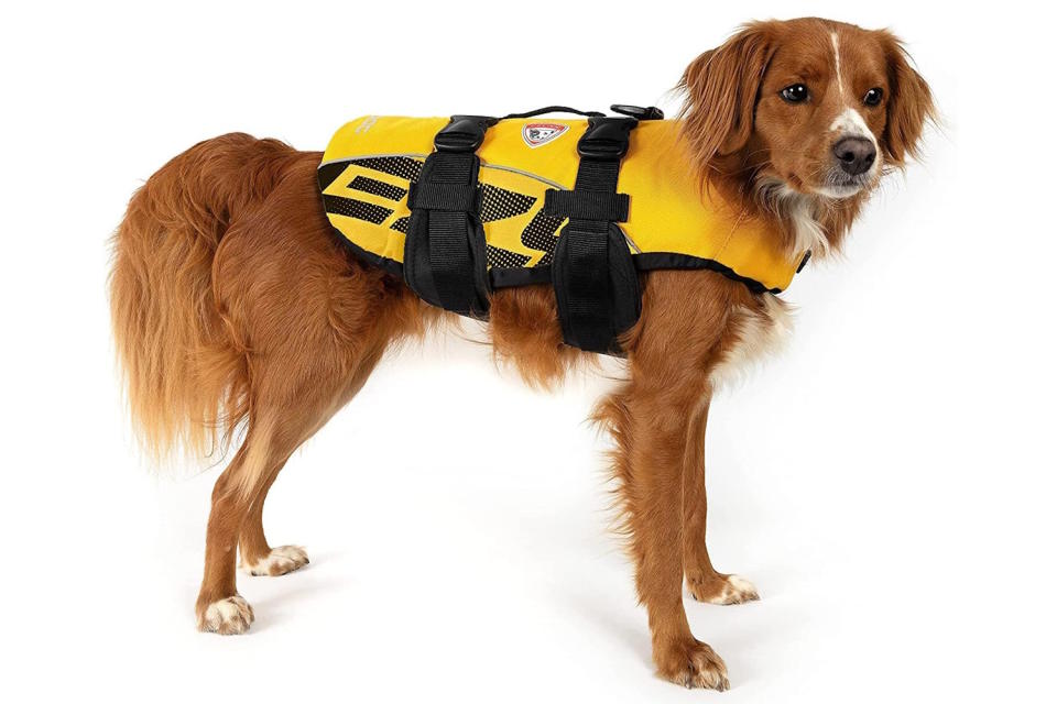 The Best Dog Life Jackets of 2024