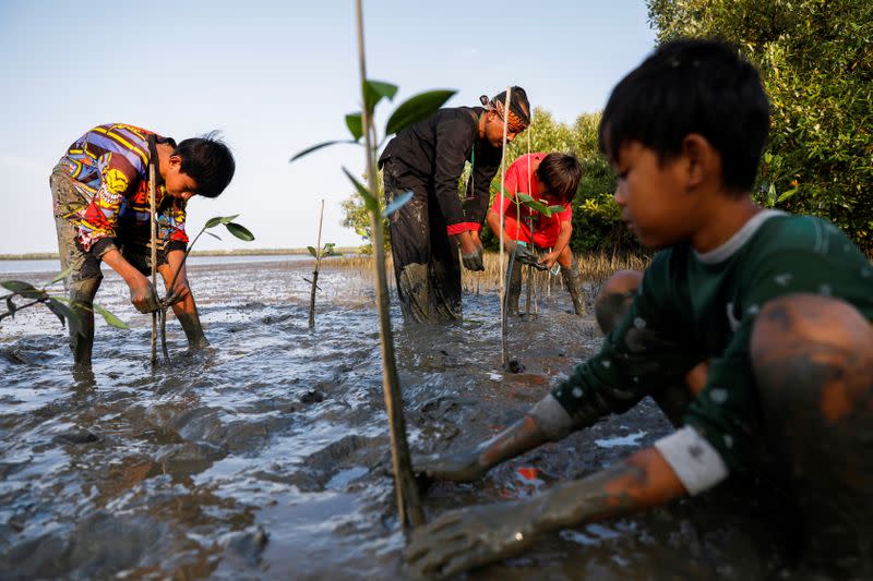 Environmentalist fights Indonesia's coastal erosion with fairy tales, puppet shows and mangrove saplings