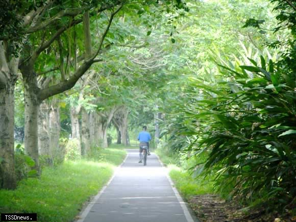 新海一期人工濕地自行車道旁一整排的月桃即將吐蕊綻放。(新北市政府高灘地工程管理處提供)