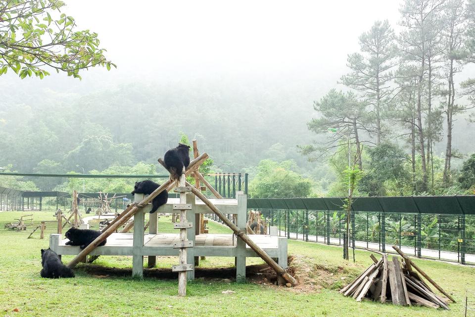 Bile Bear Sanctuary