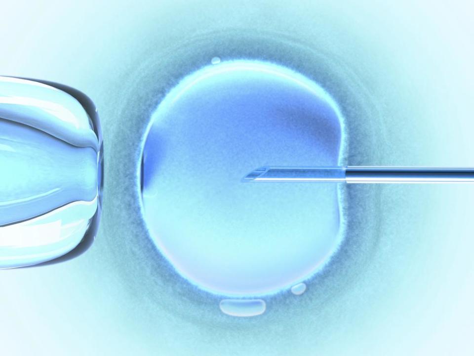 Generic image of an IVF needle in female egg.