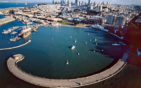 San Francisco sea lions attack aggressive swimmers - Credit: Alamy