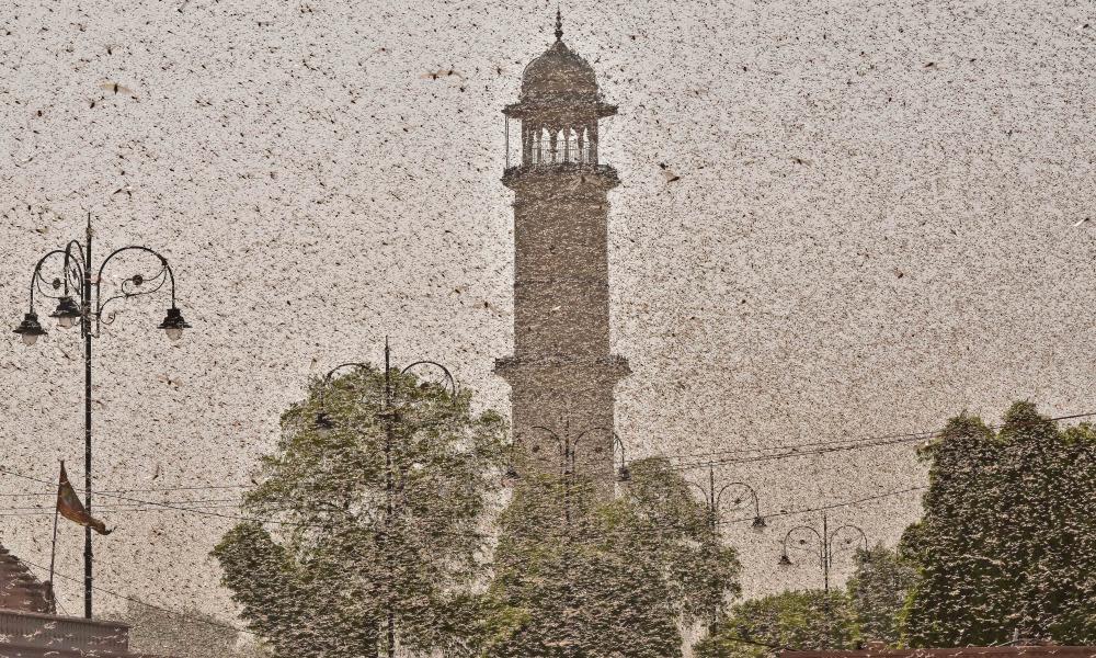 <span>Photograph: Vishal Bhatnagar/NurPhoto</span>