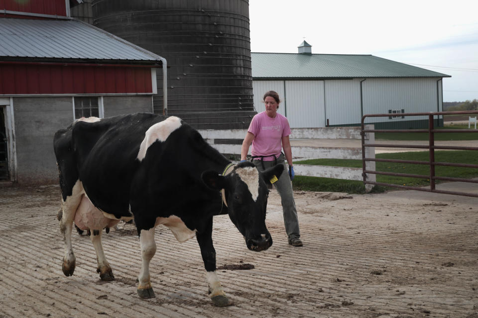 Tina Hinchley moves cows from a barn after their evening milking on the farm she works with her husband Duane on April 25, 2017 near Cambridge, Wisconsin. (Photo: Scott Olson/Getty Images)