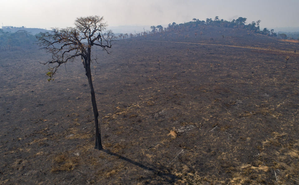 FILE - Land recently burned and deforested by cattle farmers stands empty near Novo Progresso, Para state, Brazil, Aug. 16, 2020. The Amazon region has lost 10% of its native vegetation, mostly tropical rainforest, in almost four decades, an area roughly the size of Texas, a new report released Dec. 2, 2022, says. (AP Photo/Andre Penner, File)