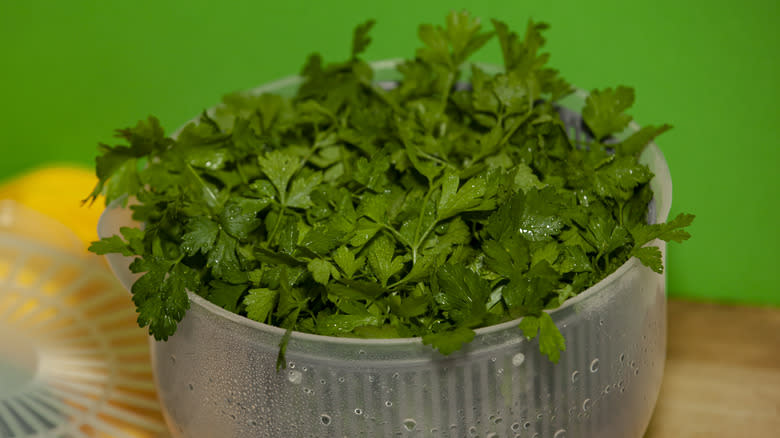 Herbs in a salad spinner
