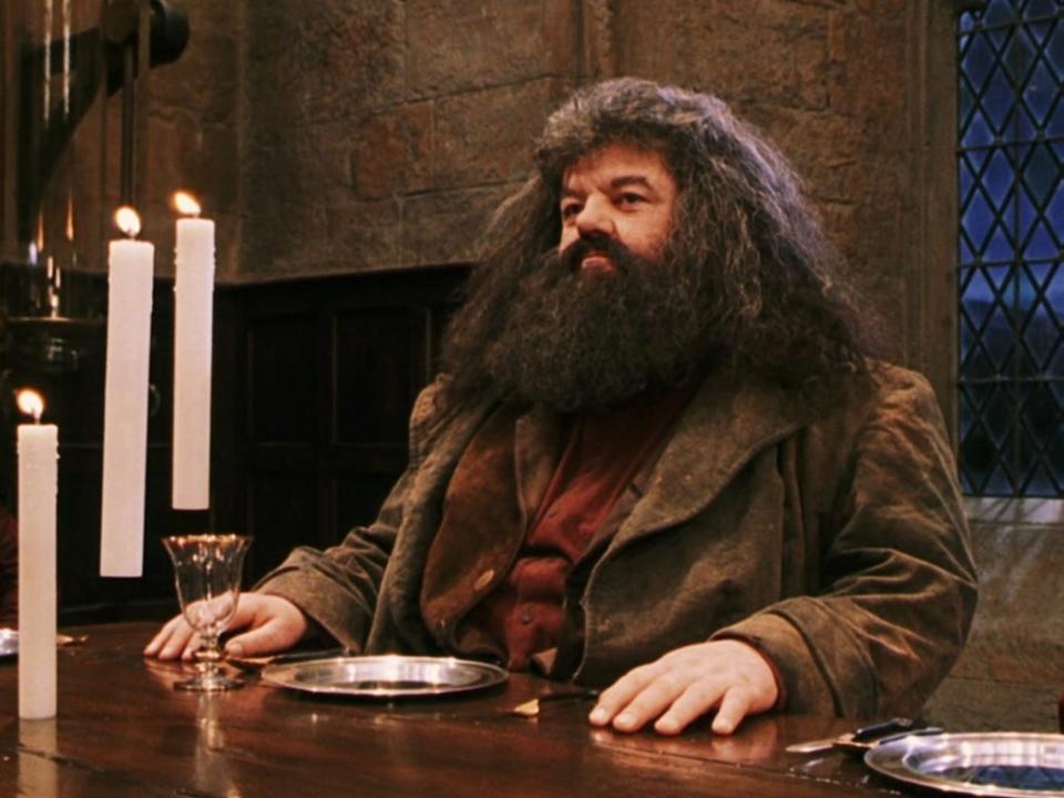 HAGRID HARRY POTTER