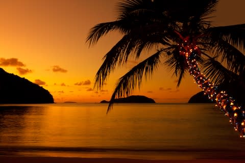 Christmas tree lights on a palm tree in the Caribbean - Credit: istock