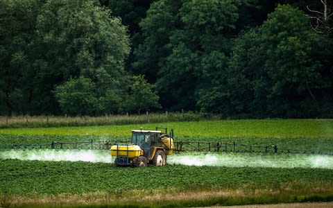 The number of hectares where pesticides are used has soared since 1990 - Credit: Phillipe Huguen AFP