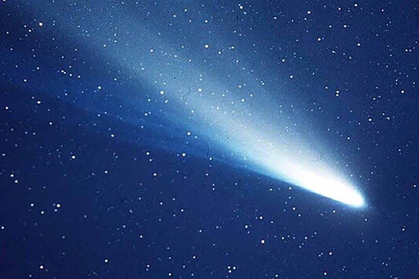 Halley's Comet