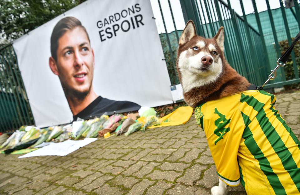 A husky wearing an FC Nantes jersey looks back beside a portrait of Argentinian forward Emiliano Sala