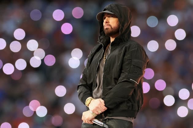 Eminem and His Daughter Share Photos From Recent Lions Game They Visited