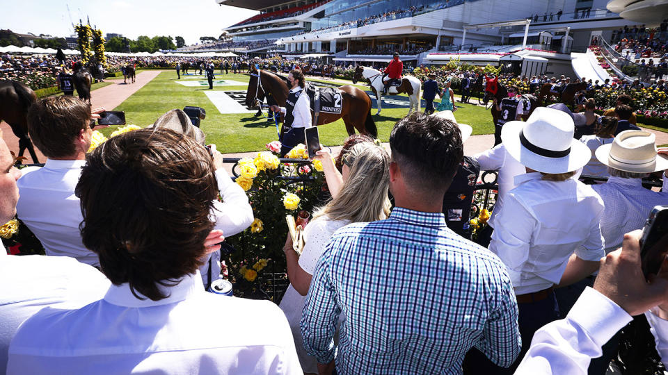 Racegoers, pictured here as the horses parade around the mounting yard ahead of the Melbourne Cup.